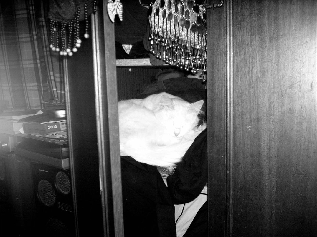 Артём Галицын фотография #10