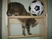 Дашка Модова фотография #41 (источник - https://vk.com/id2251602)