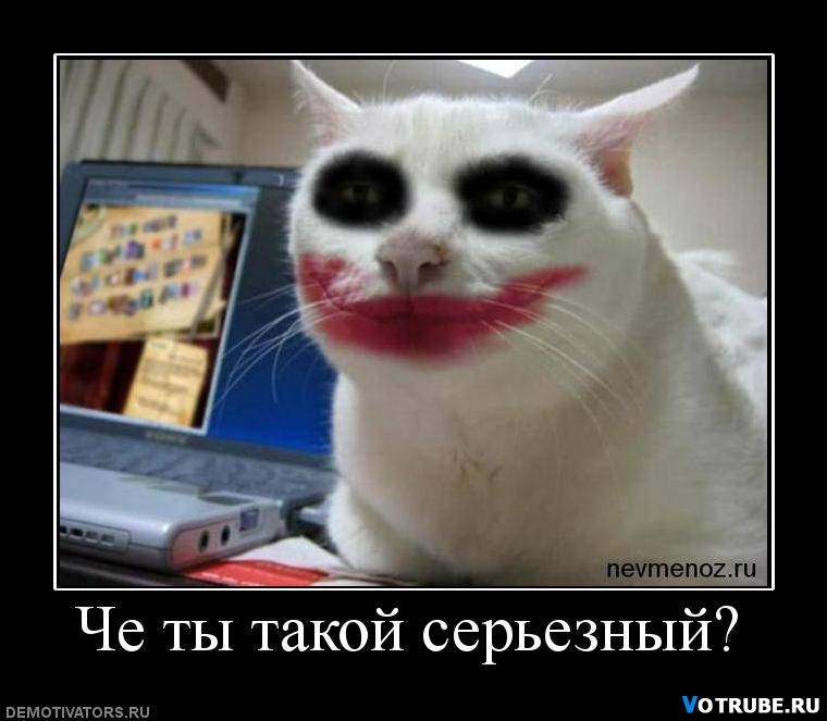 Владислав Давыдов фотография #23