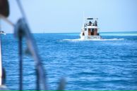 Фотография Зацепиной Анюты