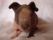 Фотография Поляковой Натали