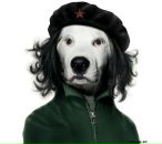 Катастрофа Флюсс фотография #37 (источник - https://vk.com/id92048626)