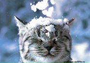 Фотография Татариновой Елены