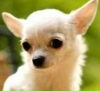 Фотография Якимовой Татьяны