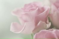 Галина Абрамчук фотография #40 (источник - https://vk.com/id8309770)