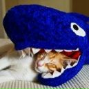 Котэ !!! фотография #10 (источник - https://vk.com/id145725628)