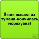 Ігор Пахолок фотография #37 (источник - https://vk.com/id71181317)