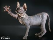 Фотография Чудаковой Маришки