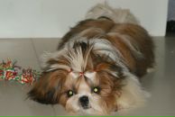 Фотография Артеменковой Елены