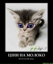 Діма Савка фотография #47 (источник - https://vk.com/id133536308)