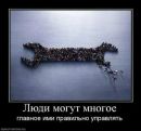 Фотография Геннадий Карцев