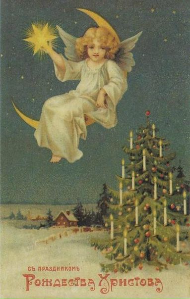 №15, Елена Шапкунова, Александровское №15, Елена Шапкунова, Александровское