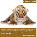 Фотография Степановой Ксении