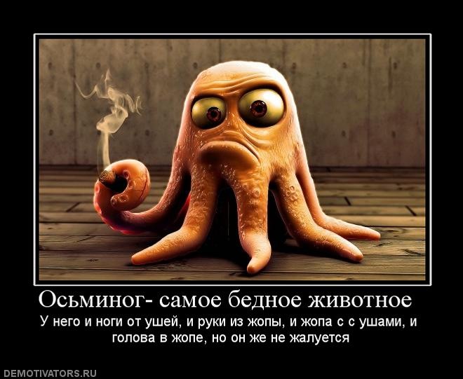 Лида Милка фотография #48