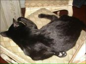 Фотография Митроченковой Ольги