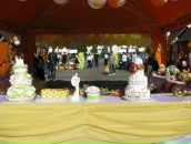 Наталія Кошка фотография #40 (источник - https://vk.com/id55018463)