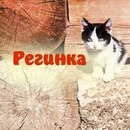 Региша Маховых фотография #4 (источник - https://vk.com/id166321789)