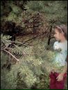 Софія Радейко фотография #2 (источник - https://vk.com/id140293547)