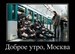  фотография #50