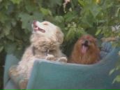 Сергій Петров фотография #33 (источник - https://vk.com/id92831660)