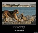 Саша Кісіль фотография #7 (источник - https://vk.com/id182065421)