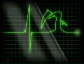 Роберт Бареев фотография #40 (источник - https://vk.com/id97035214)