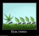 Сергій Савка фотография #18 (источник - https://vk.com/id18667347)