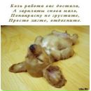 Віталіна Кальченко фотография #24 (источник - https://vk.com/id144253033)