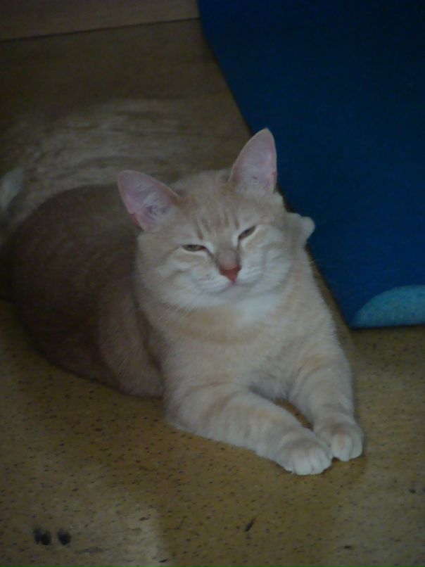 Любовь Ты фотография #21