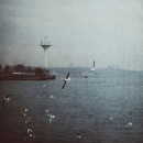 Ксенія Чебіна фотография #30 (источник - https://vk.com/id112314280)