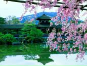 Фотография Ждановой Лисы