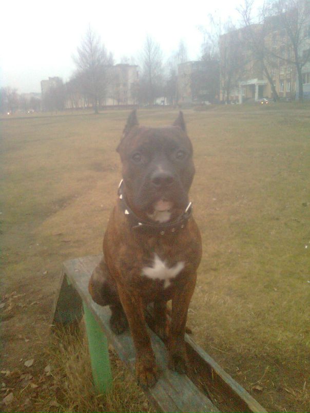 Вита Стибло фотография #6