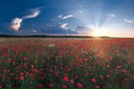 Катюсік Васюта фотография #3 (источник - https://vk.com/id170085865)