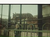 Фотография Аксёнова Алексея