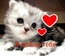 Ангеліна Харькова фотография #18 (источник - https://vk.com/id135510945)