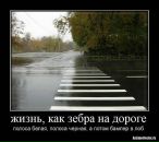 Фотография Живой Пар Ирины