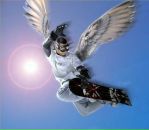 Фотография Буденкова Степана