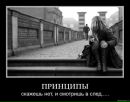 Фотография Павловой Анастасии