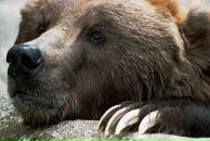 Фотография Щербатых Михаила