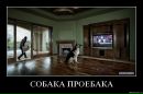 Віталік Вольт фотография #48 (источник - https://vk.com/id2228781)