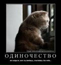 Юлія Фурія фотография #33 (источник - https://vk.com/id5070335)