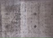 Donna Piccolo фотография #2 (источник - https://vk.com/id1823211)