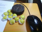 Фотография Савичева Артема