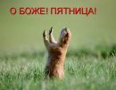 Олексій Сайненко фотография #44 (источник - https://vk.com/id120942362)