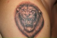 Фотография Кучерова Лёхи