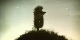 Фотография Карнаевой Светланы