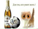 Андрей Кізім фотография #8 (источник - https://vk.com/id170188421)