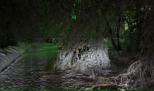 Дмитрий Плотников фотография #13 (источник - https://vk.com/id378898)