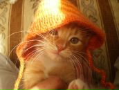 Фотография Подойниковой Марии