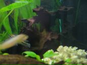 Андрій Ордаш фотография #14 (источник - https://vk.com/id28930375)